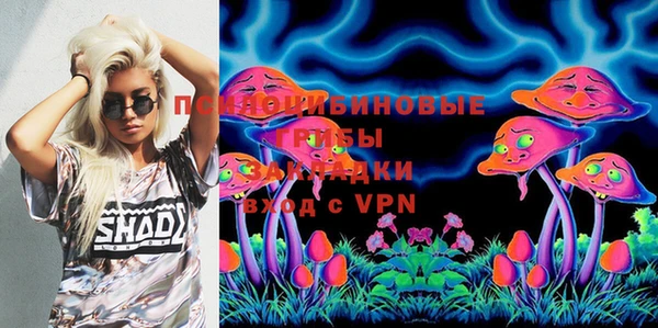 ПСИЛОЦИБИНОВЫЕ ГРИБЫ Балахна