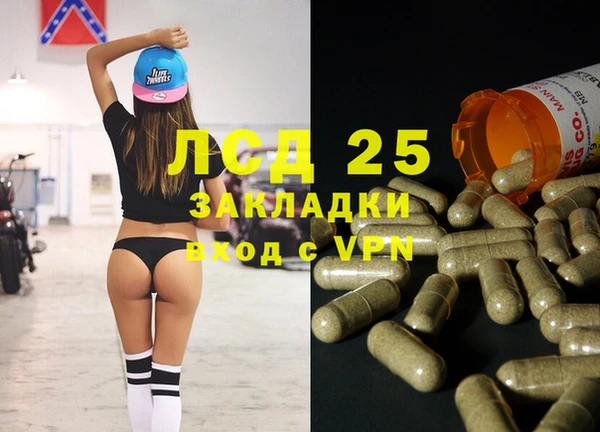 ПСИЛОЦИБИНОВЫЕ ГРИБЫ Балахна