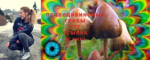 ПСИЛОЦИБИНОВЫЕ ГРИБЫ Балахна