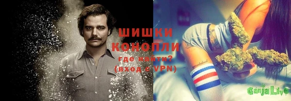 ПСИЛОЦИБИНОВЫЕ ГРИБЫ Балахна