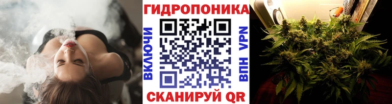 Бошки марихуана сатива  маркетплейс формула  Верхний Тагил 